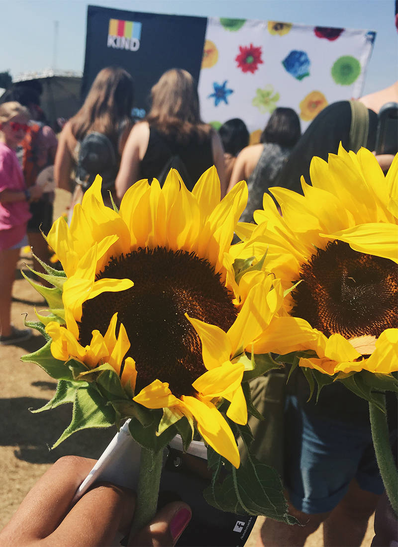 Kind-Sunflowers